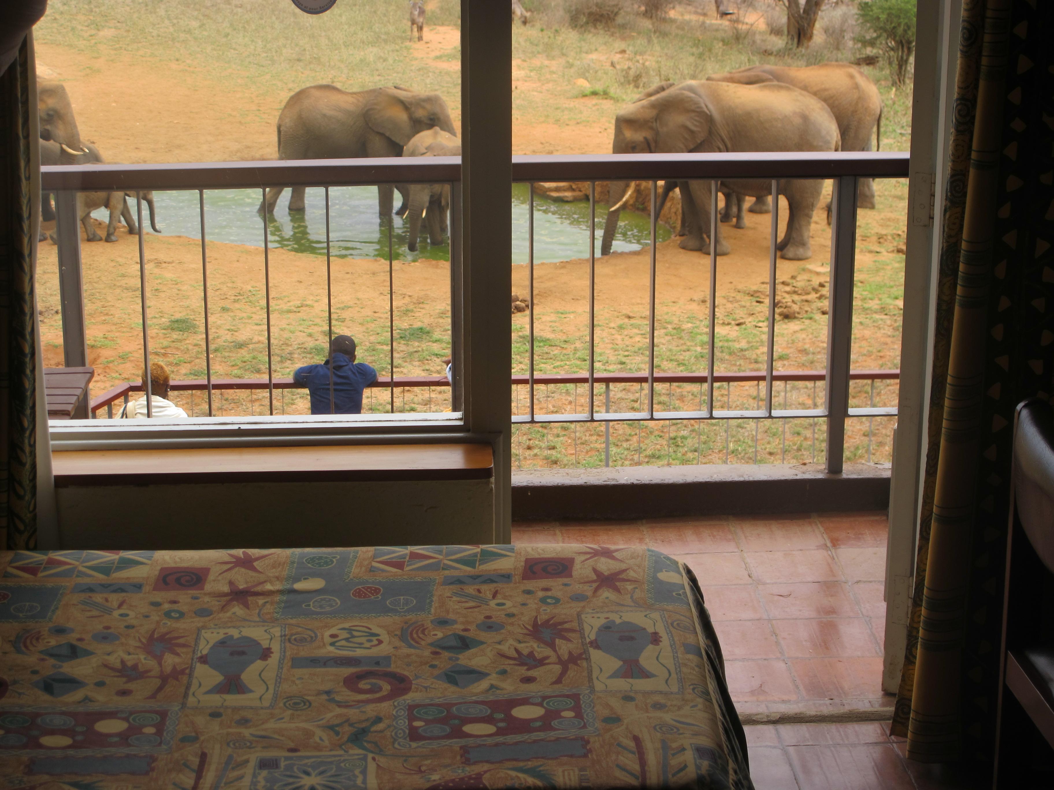 Ngulia Safari Lodge Tsavo Exterior foto